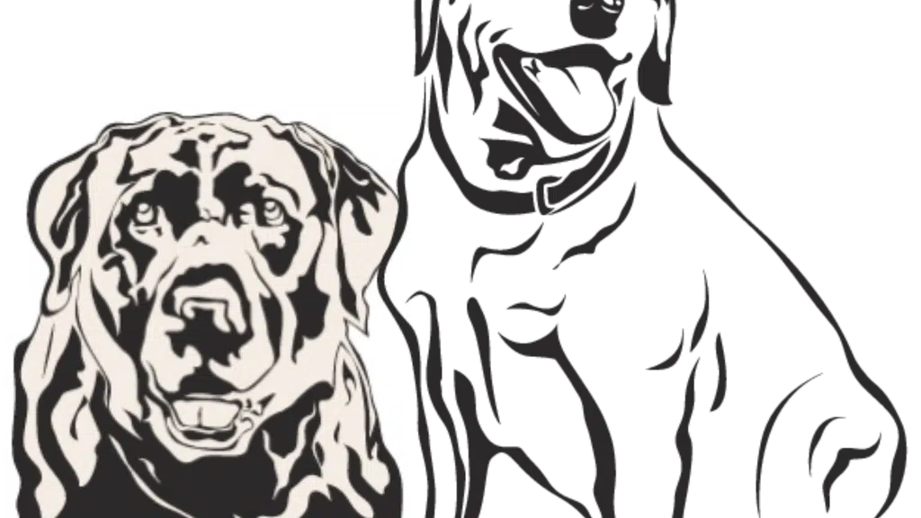K9 Companions