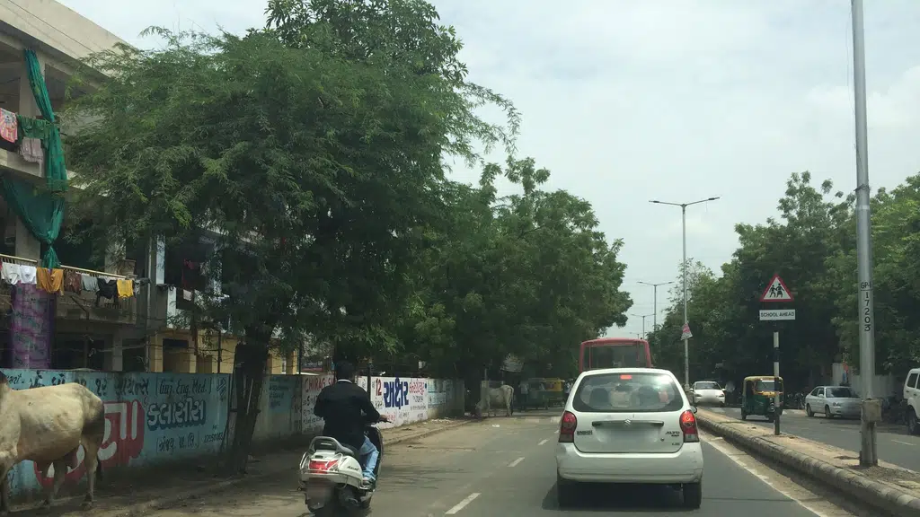 Vivek Lights
