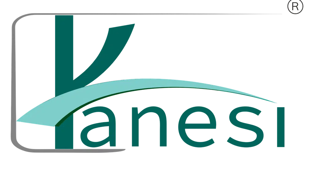 Kanesi.in