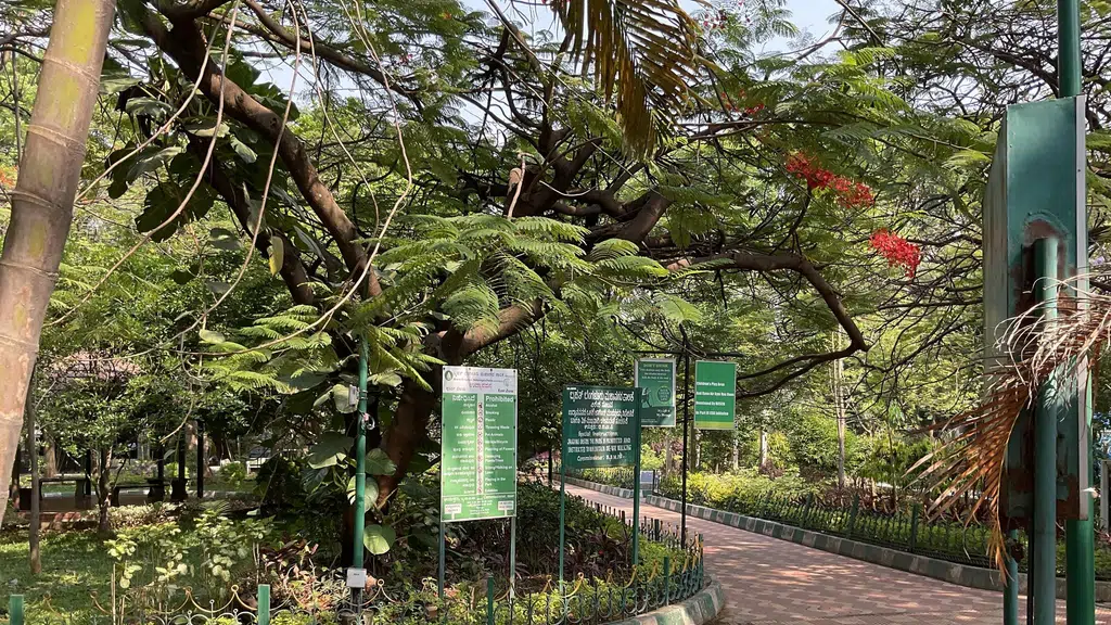 RJ Rapid Rashmi