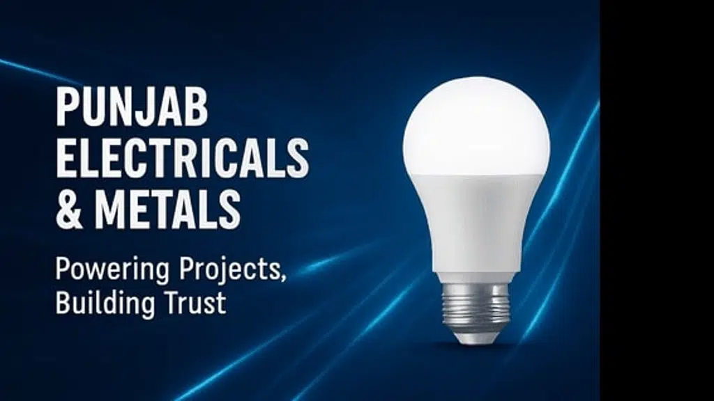 Punjab Electricals & Metals