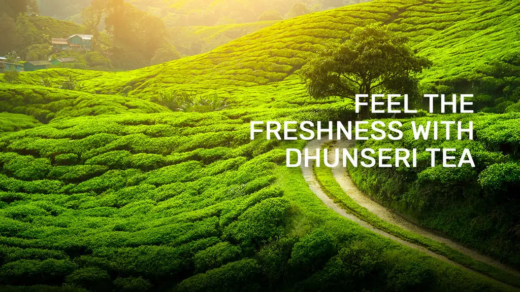 Dhunseri Tea and Industries Ltd.
