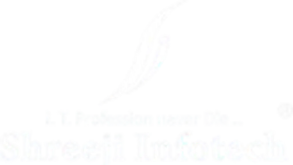 Shreeji Infotech