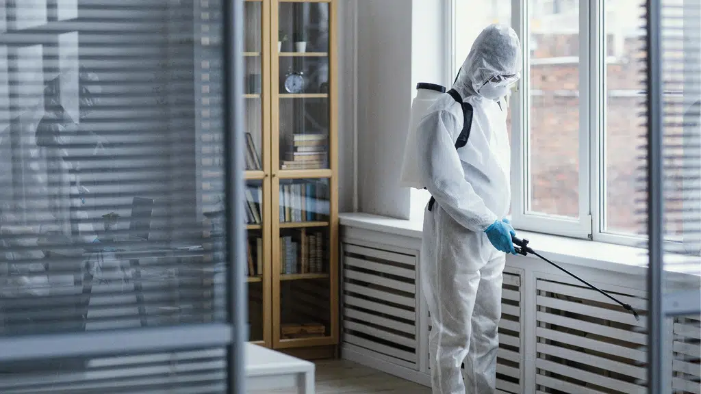 Raj Pest Control Service (Raj Enterprises), Ambattur