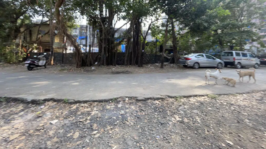Udhyog Bhavan, Goregaon East