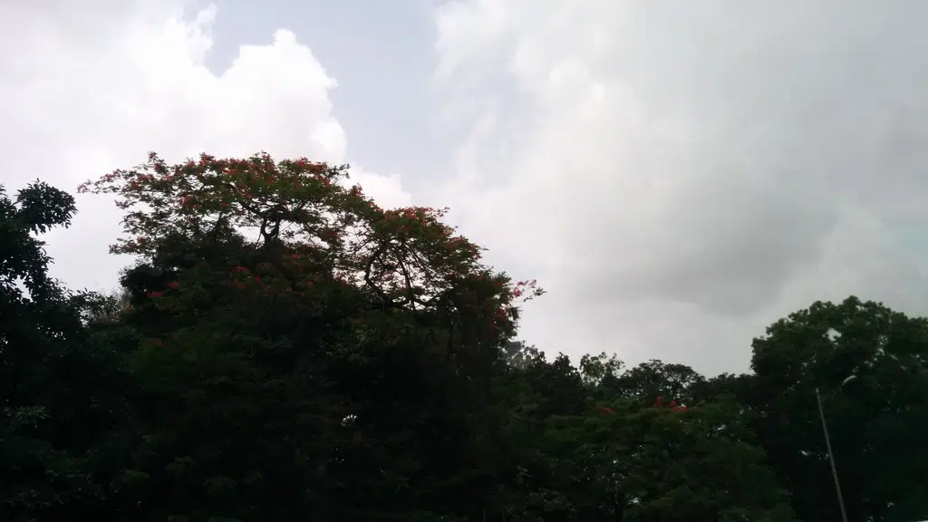 Mastan ki Tapri