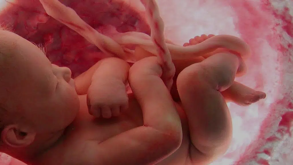 Fetal And Genetic Clinic