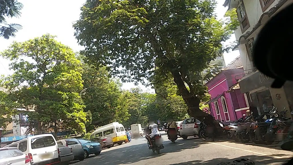 Himalaya Wellness Store