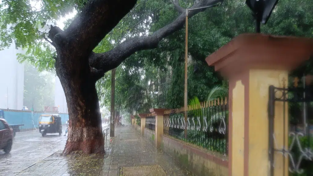 Sheth Montana Mulund