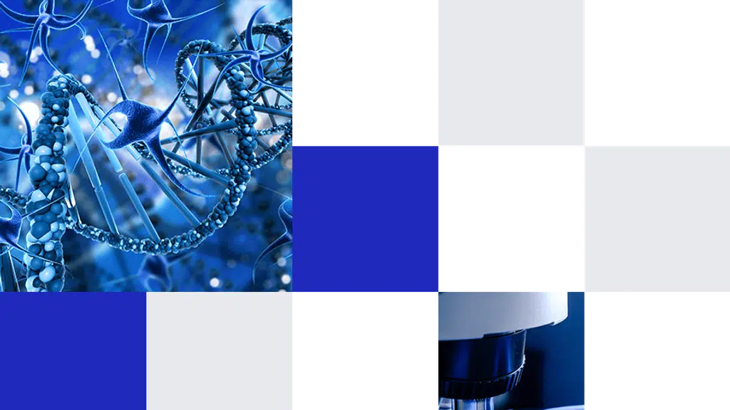 Axess Medicom Pvt Ltd