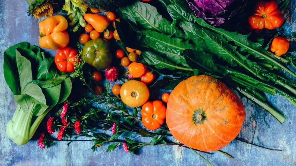 Urbar Organics