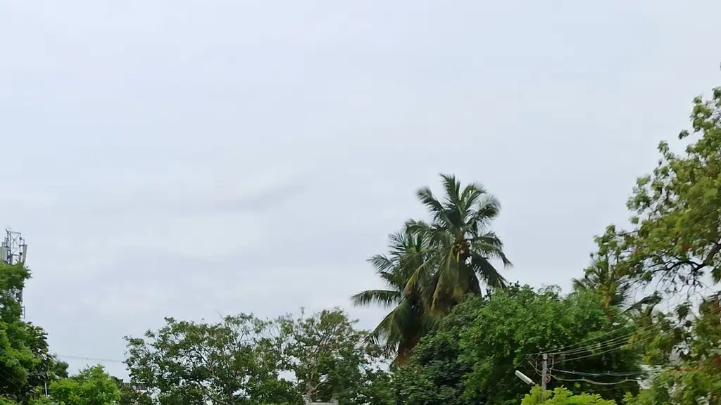 Sri Agathiyar Nadi Jothida Nilayam