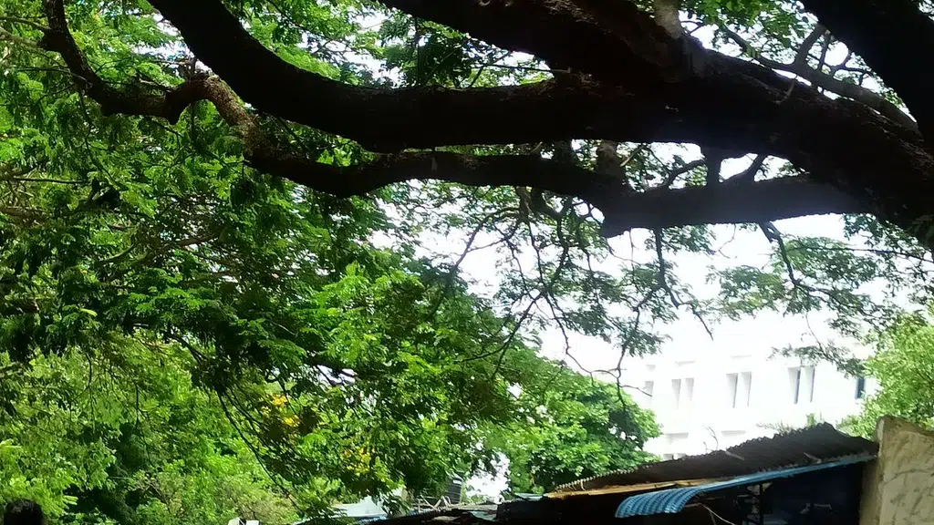Meenakshi College Girls Hostel