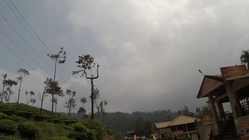 Wild View Estate Stay, Chikmagalur