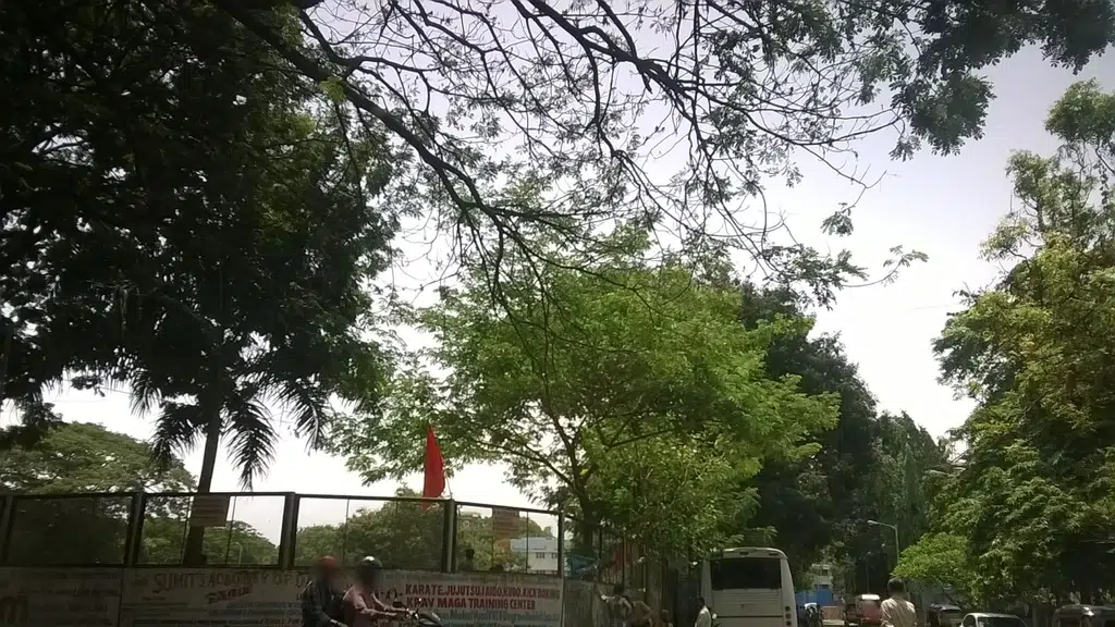 MP Shah English High School