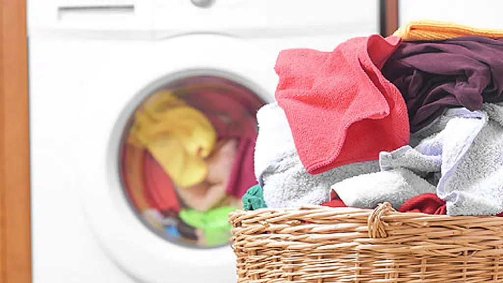 Fast N Furious Online Laundry services