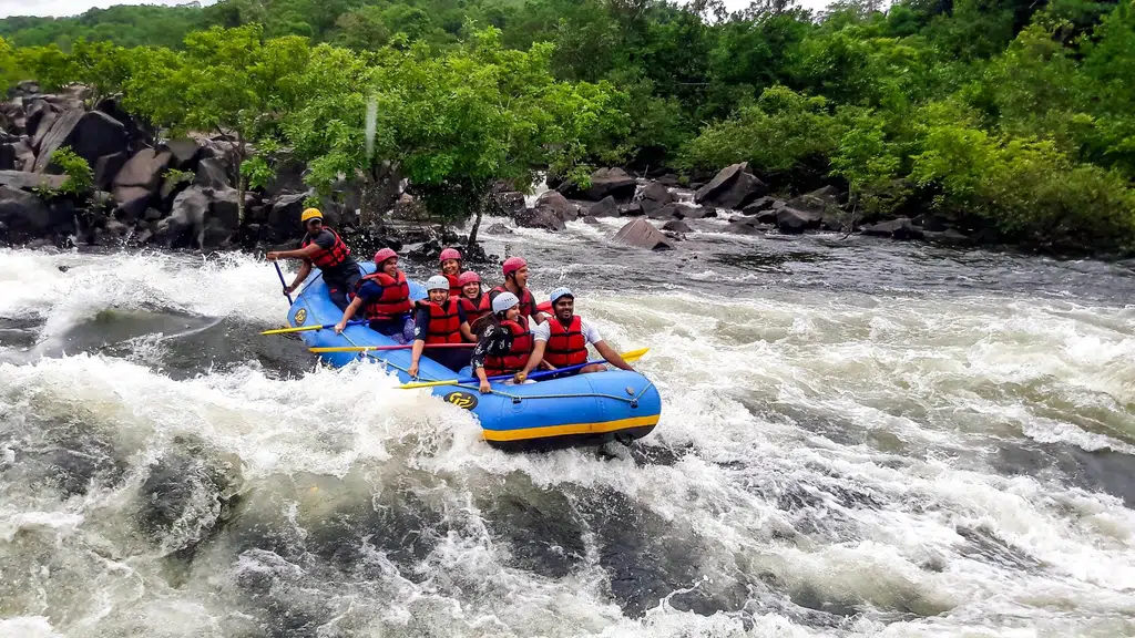 Dandeli Adventure Jungle Stay