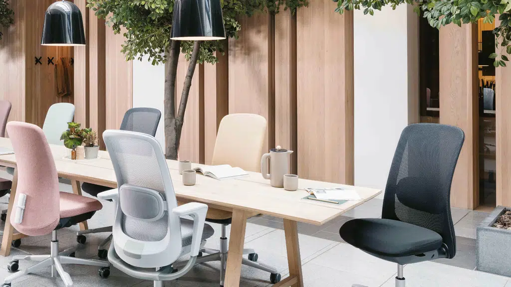 Pranav Furniture