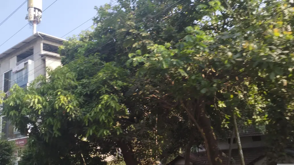 Maruti Suzuki ARENA (Popular Vehicles & Services, Kozhikode, Malaparamba)