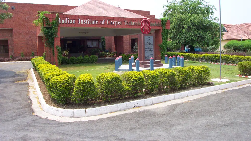 Indian Institute Of Carpet Technology
