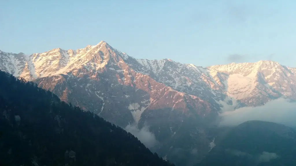Doors to Dhauladhar's Triund camp