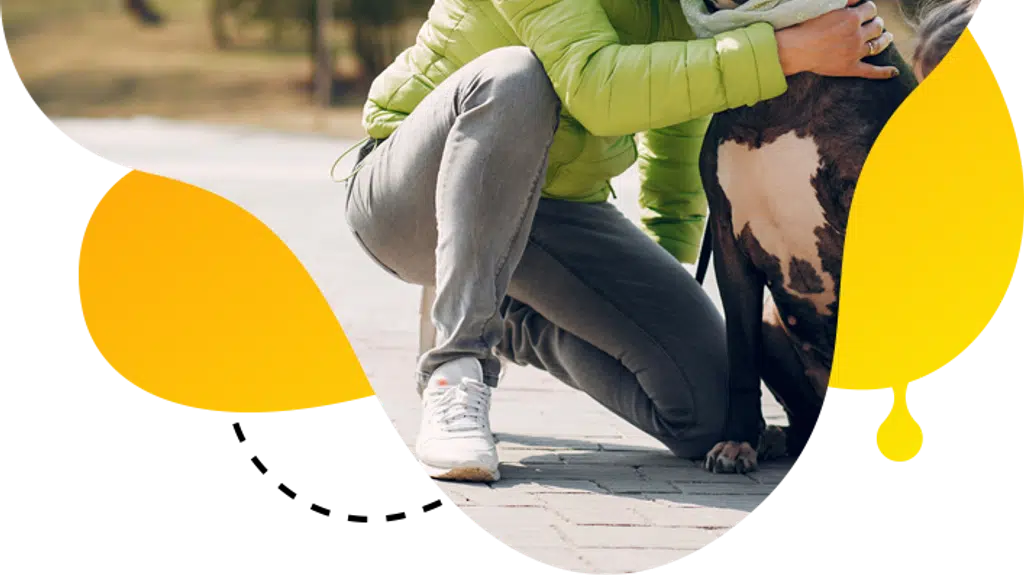 Vetcare pets