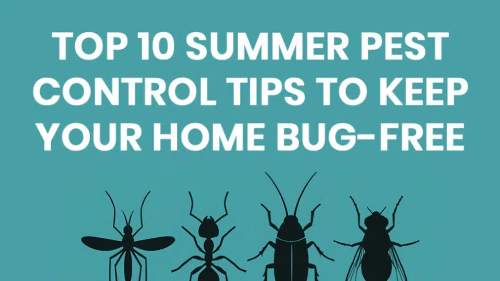 City Pest Care