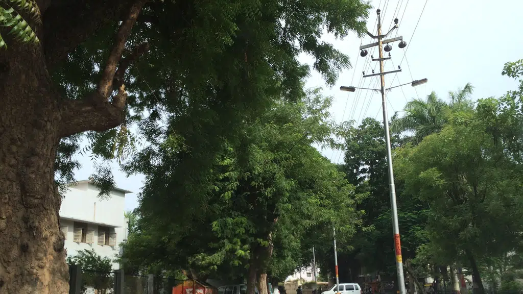 Patel Tea Center