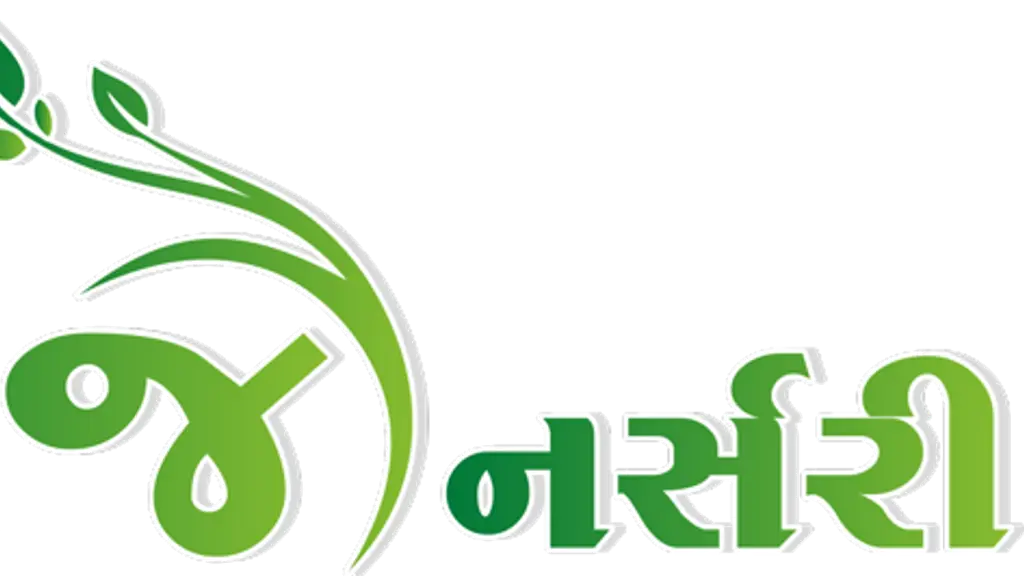 Vraj Nursery