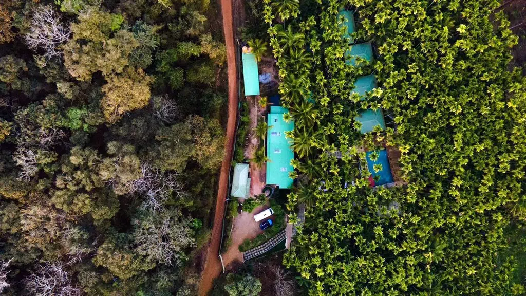 Greenland Junglestay Dandeli