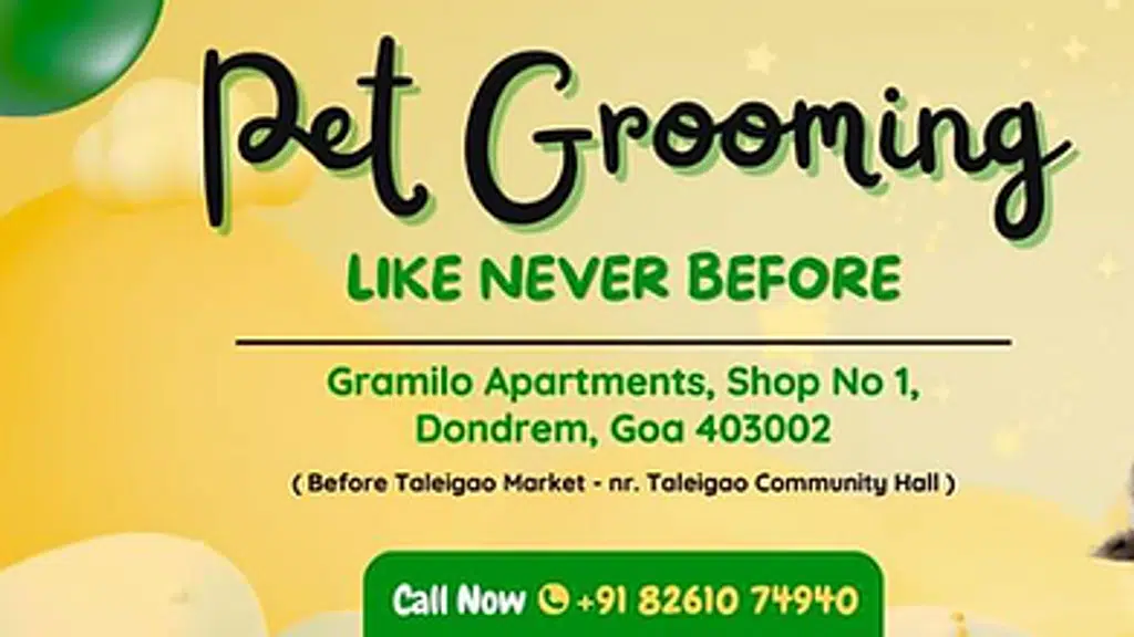 Glampetz Panjim. Best And Affordable Pet Grooming Studio.