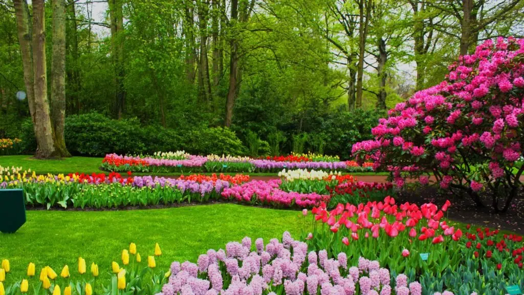 Heaven's Path Tours and Travels
