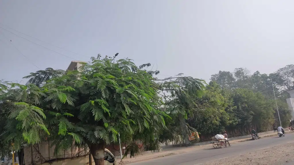 Maruti Suzuki Commercial