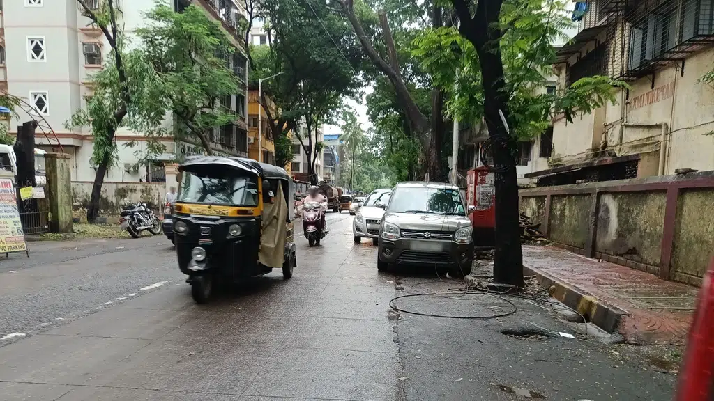 Tarkeshwar Snacks and Juice Center (Jitu Sandwich)