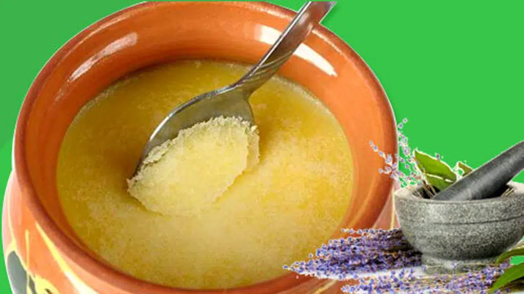Ancient Herbs of India