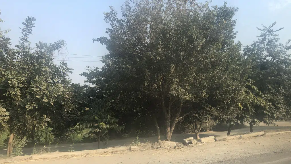 Indian Electric Vehicles