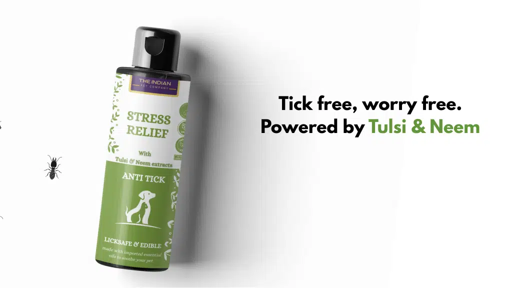 Theindianpetcompany