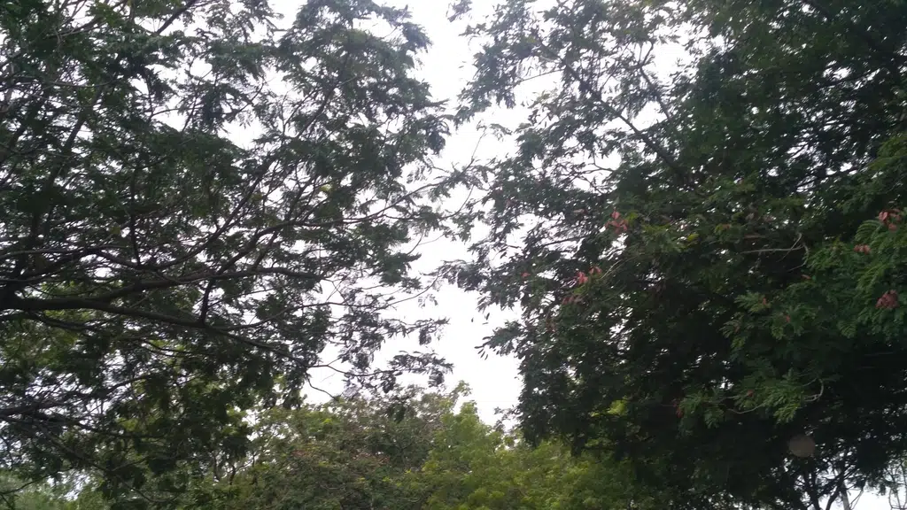 Yuktahar Mess