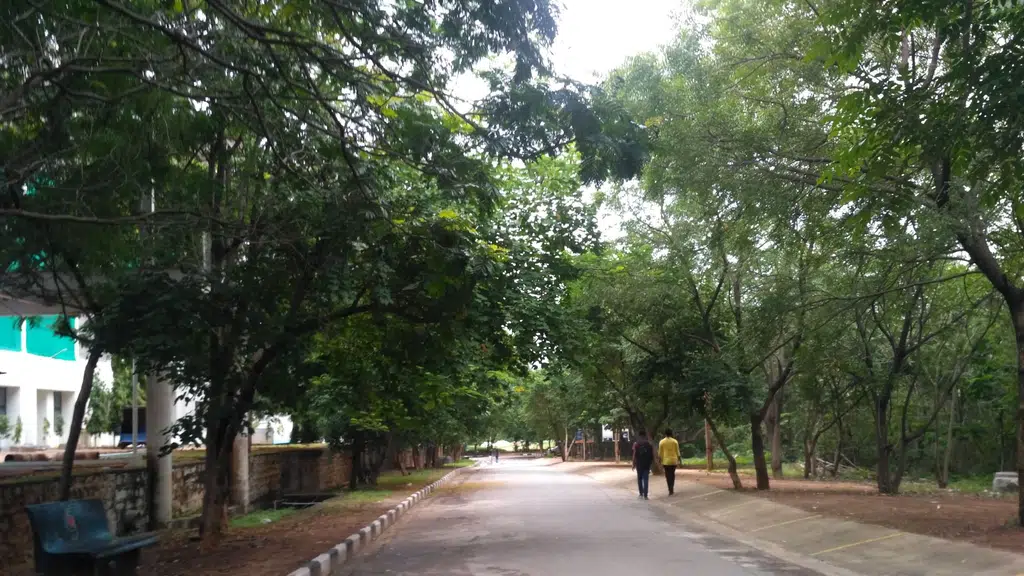Ostrya Labs