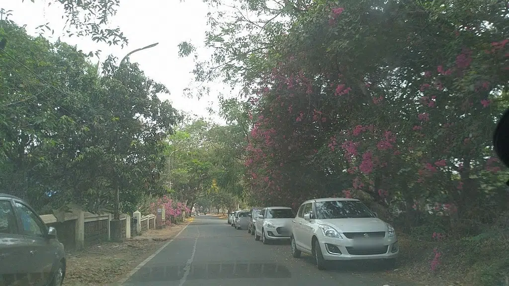 Ministry of Road Transport & Highways (PMU) Goa