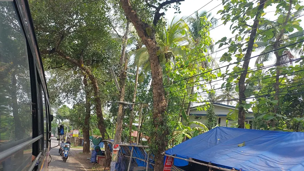 South Indian Bank