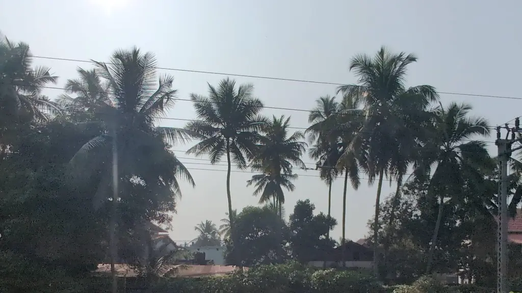 Calicut Women College