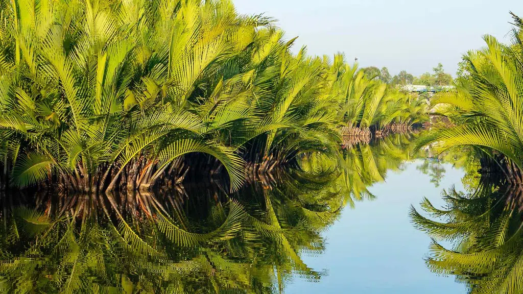 Sundarban Asha Travels
