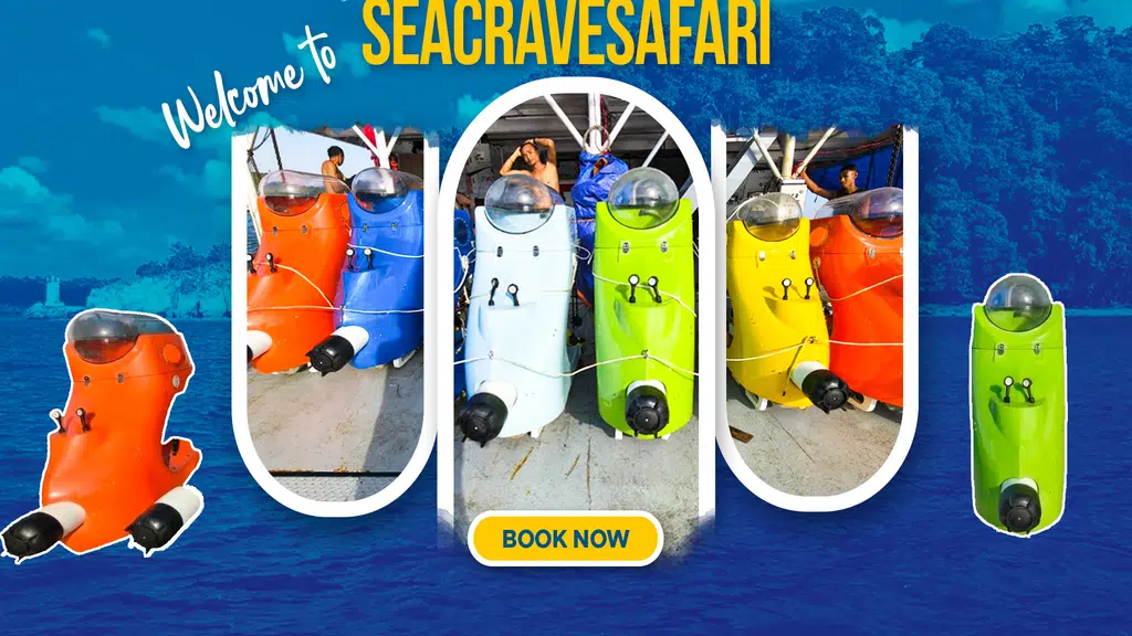Sea Crave Safari