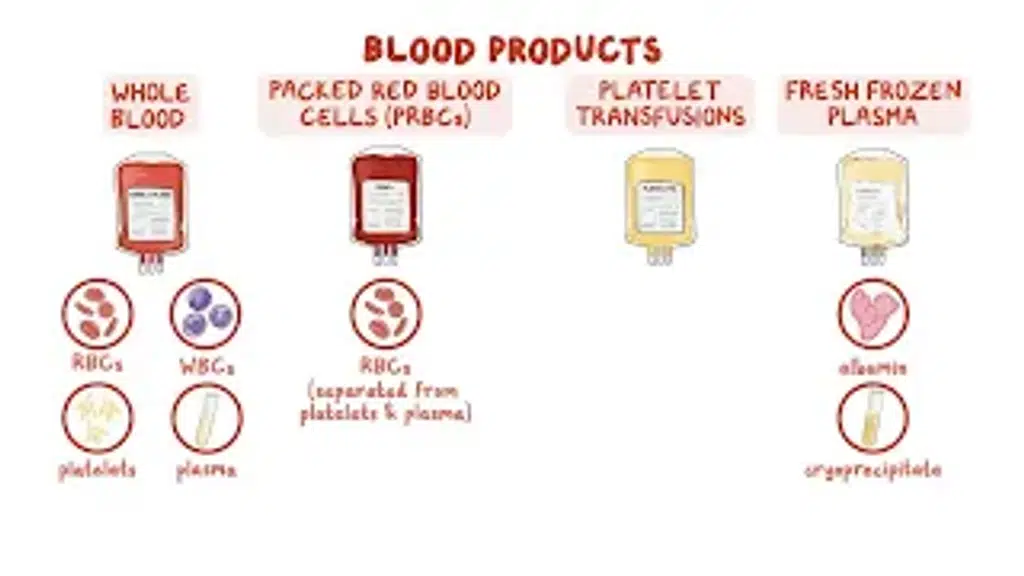 Malegaon Blood Bank