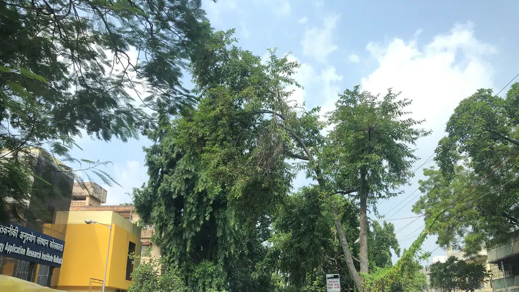 Income Tax Colony
