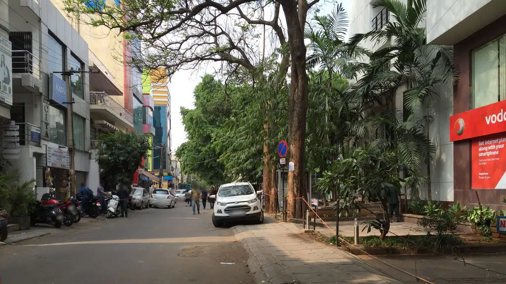 Sanatani Hindu