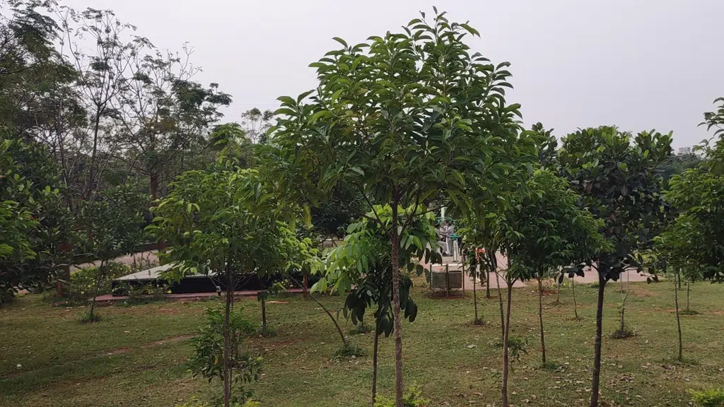 Dr. APJ Abdul Kalam Park
