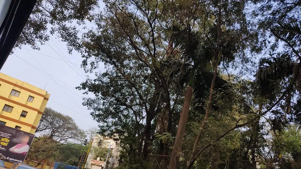 Shiv Sena Pramukh Bala Saheb Thakre Dawakhana