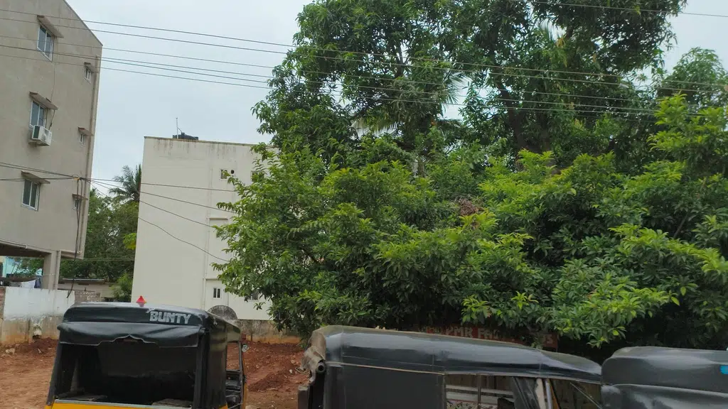 Lotus Public School